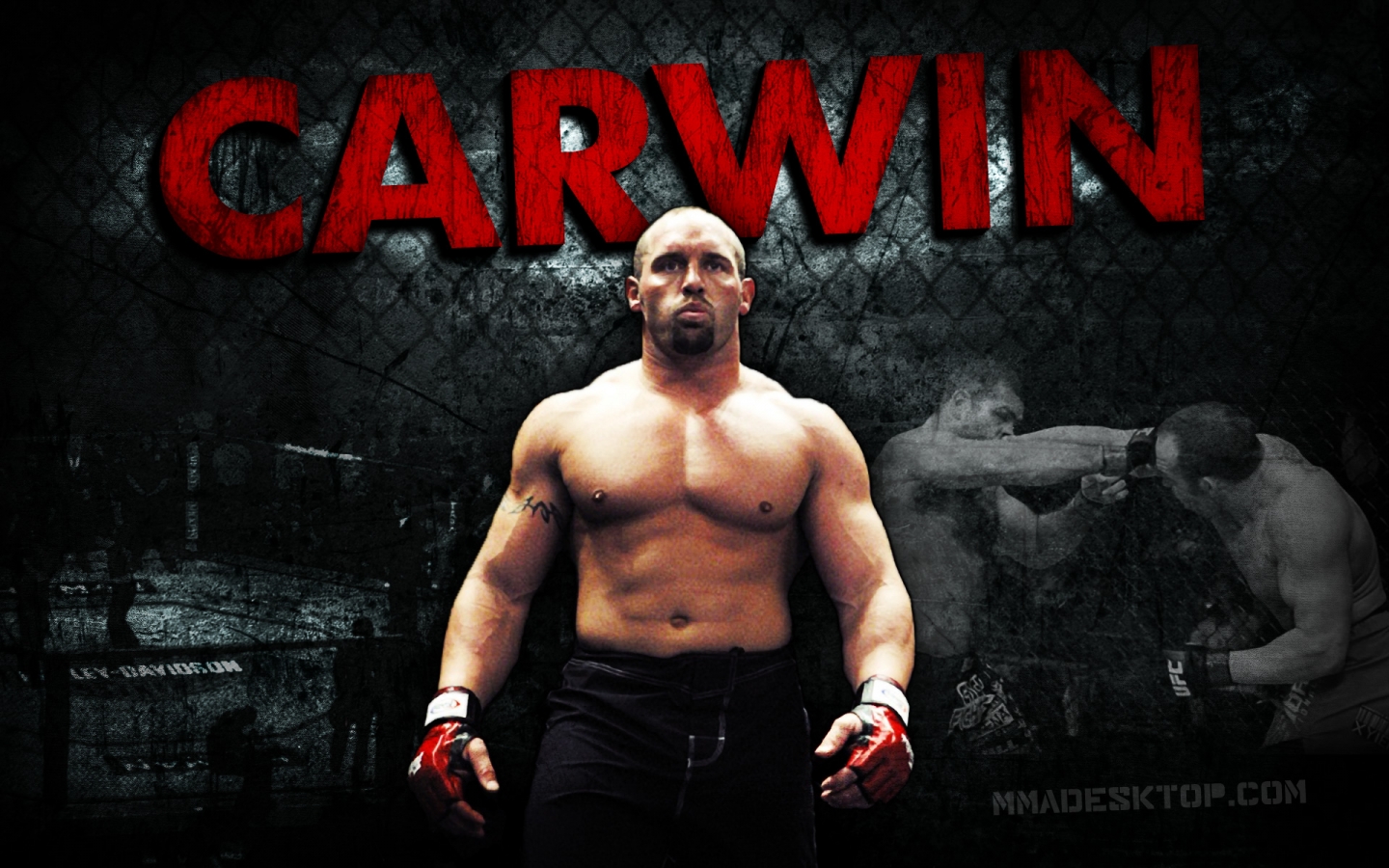 Sports Mma Mixed Martial Arts Shane Carwin Wallpaper