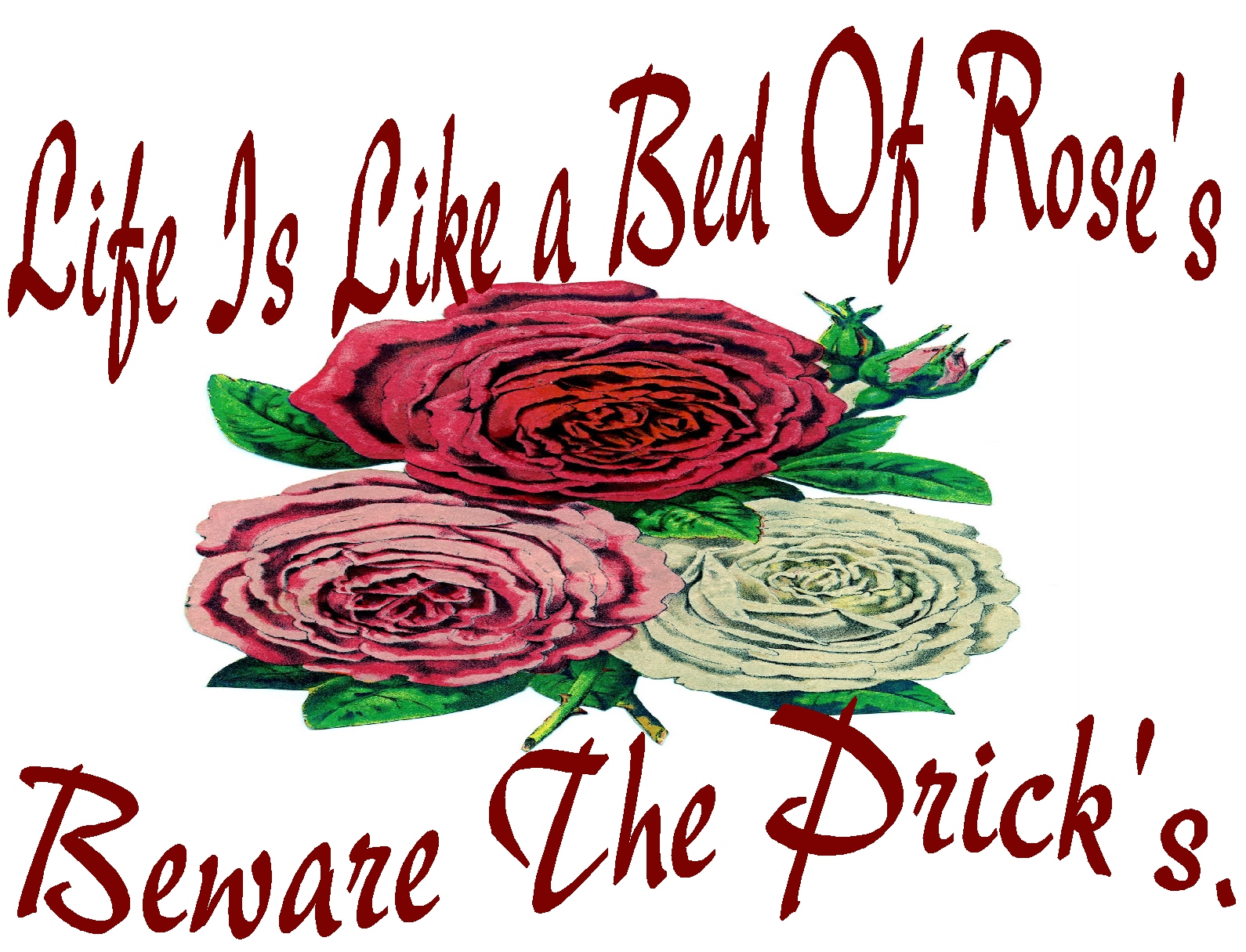 Life Is Like A Bed Of Rose S Jpg