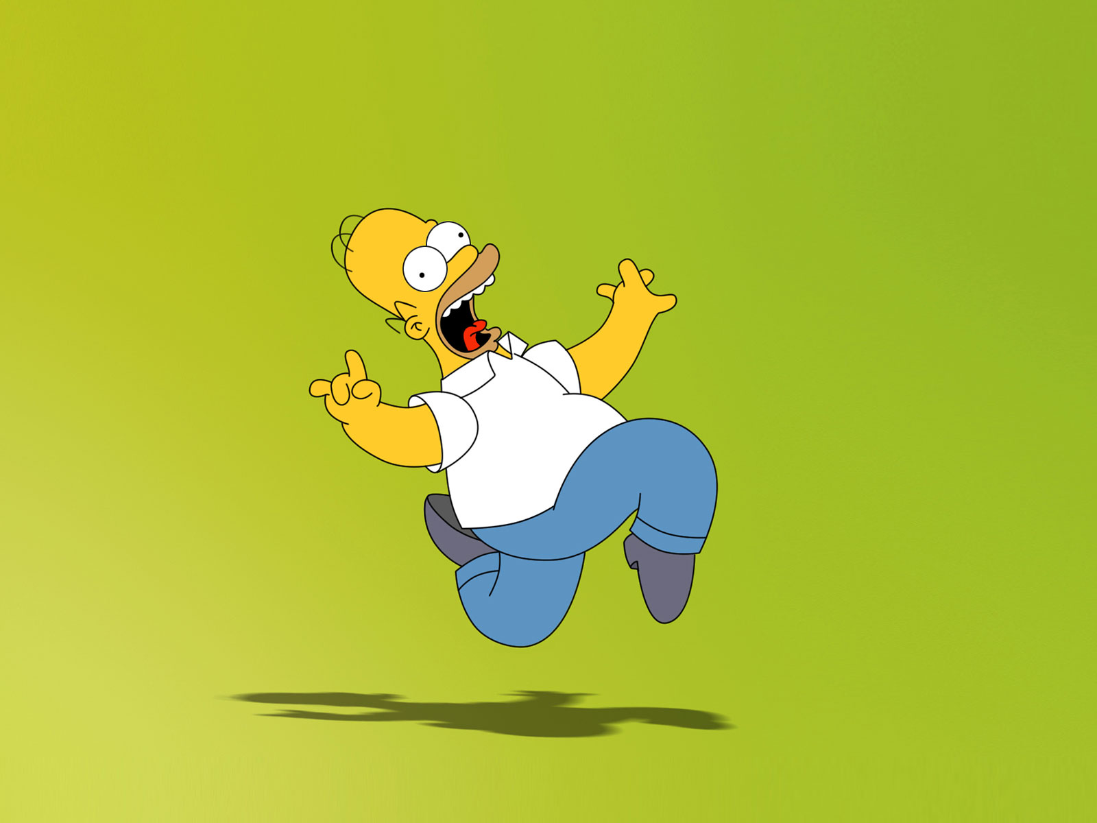 Simpsons Wallpaper Homer Simpson HD