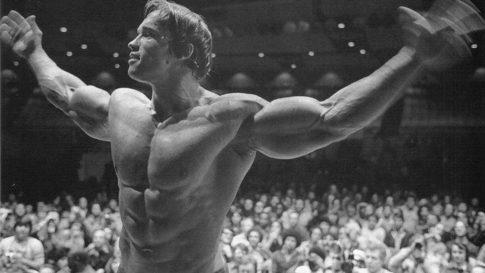 Arnold Schwarzenegger Wallpaper HD