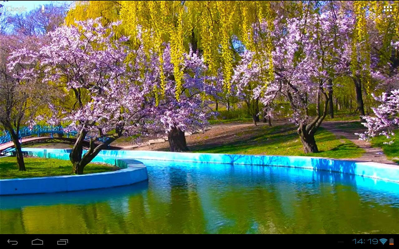 3D Spring Park Sakura Free   Android Apps on Google Play