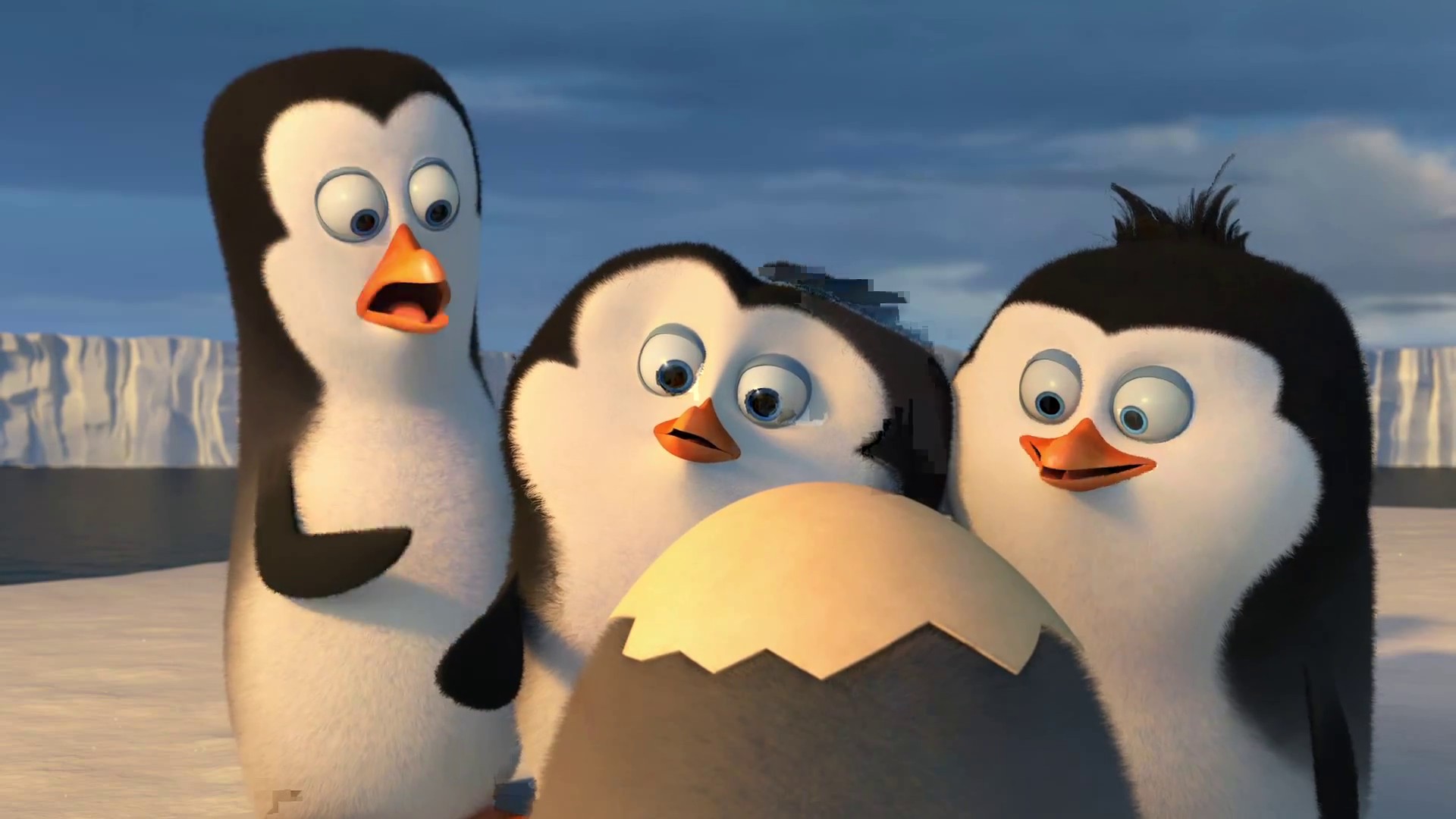 Baby Penguins Of Madagascar Movie HD Wallpaper Jpg
