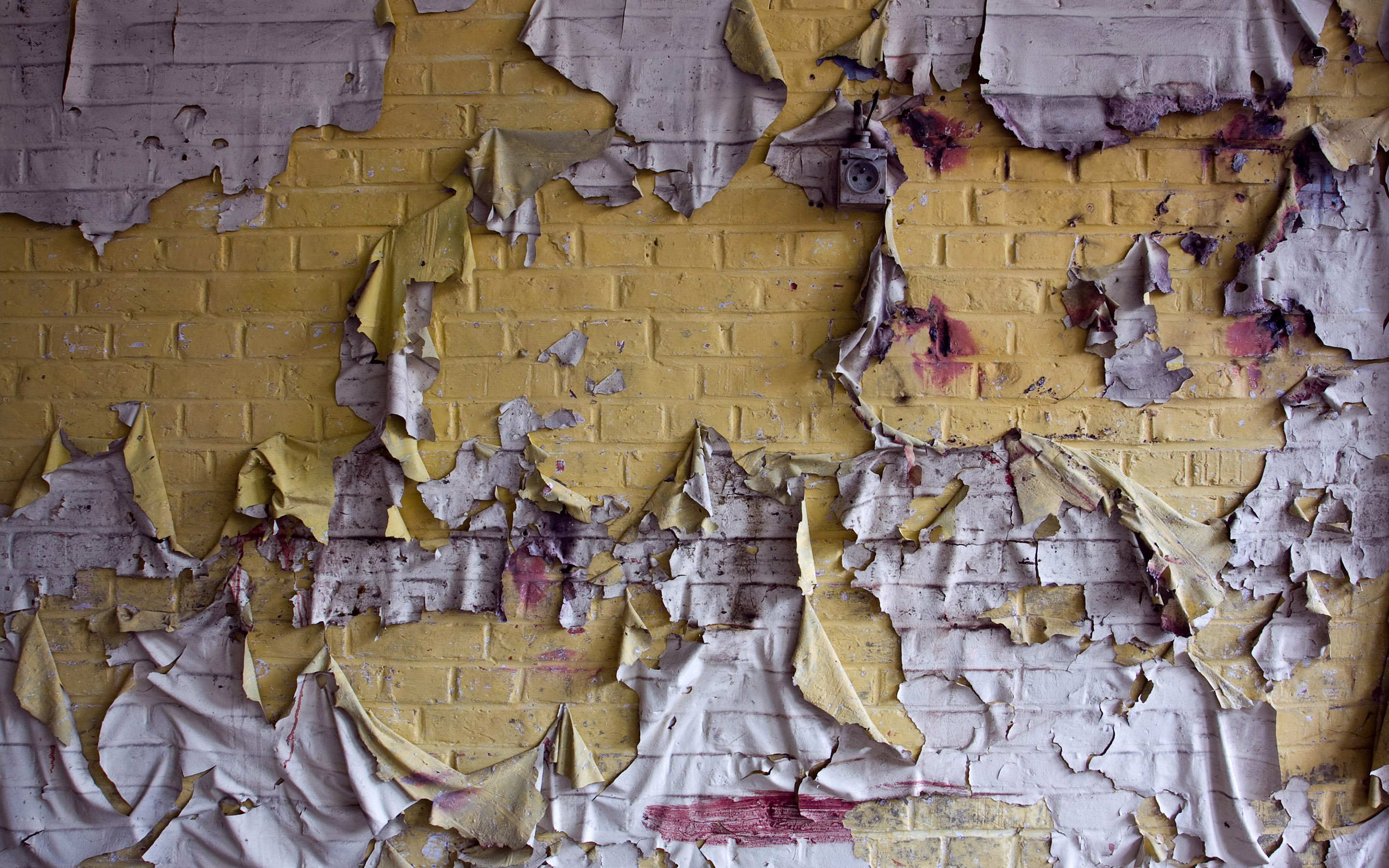 Torn paper background HD wallpapers  Pxfuel