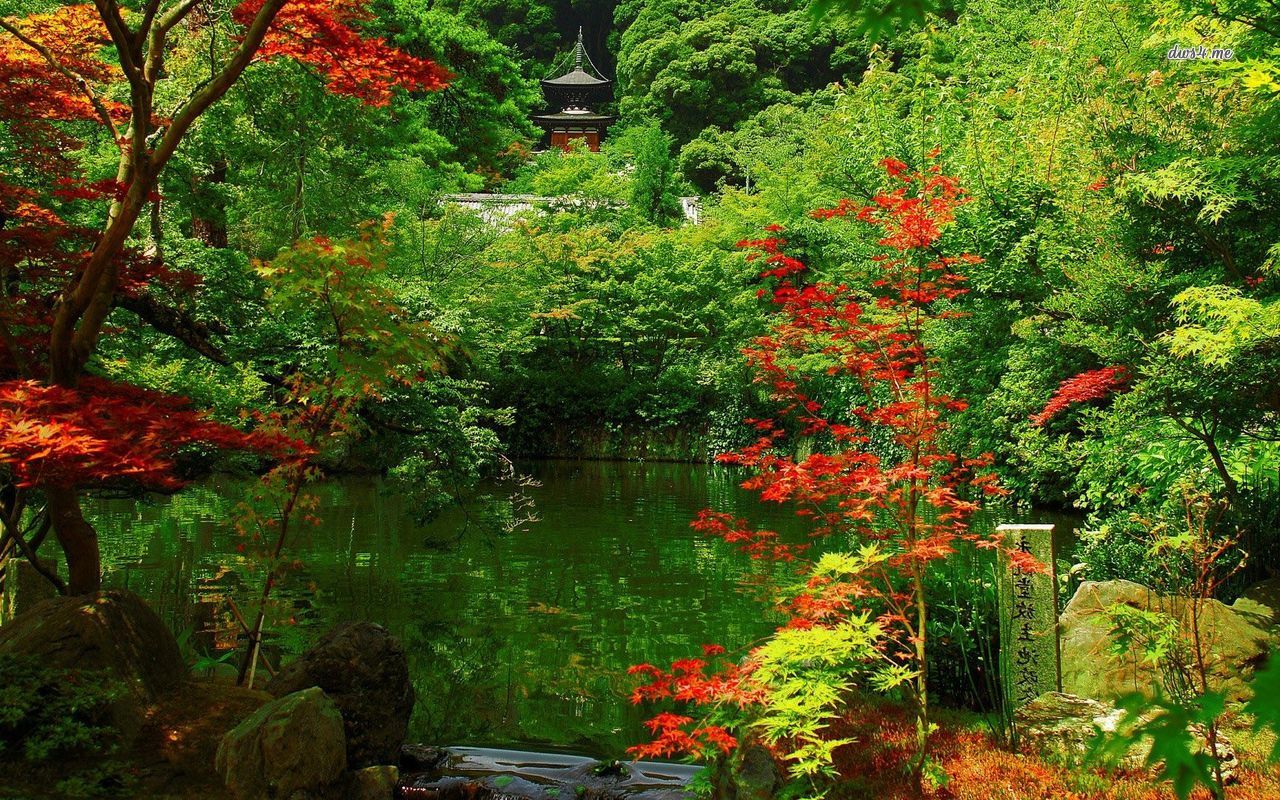 Japanese Garden Wallpaper Nature