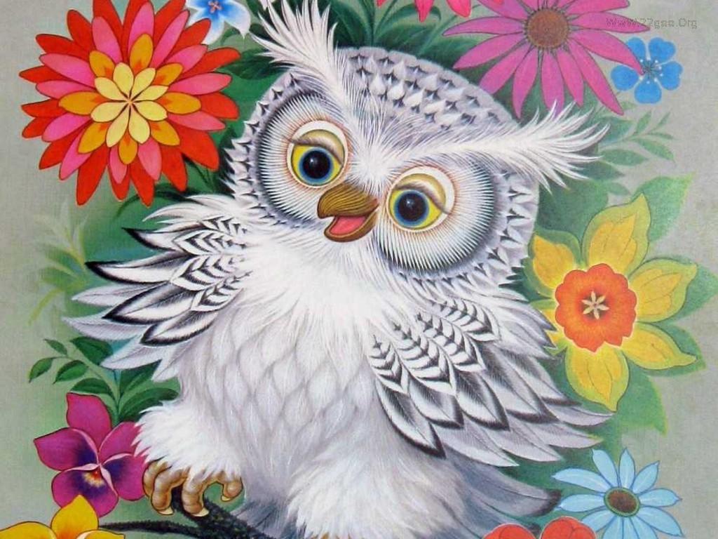  49 Free Owl  Wallpapers  for Desktop on WallpaperSafari