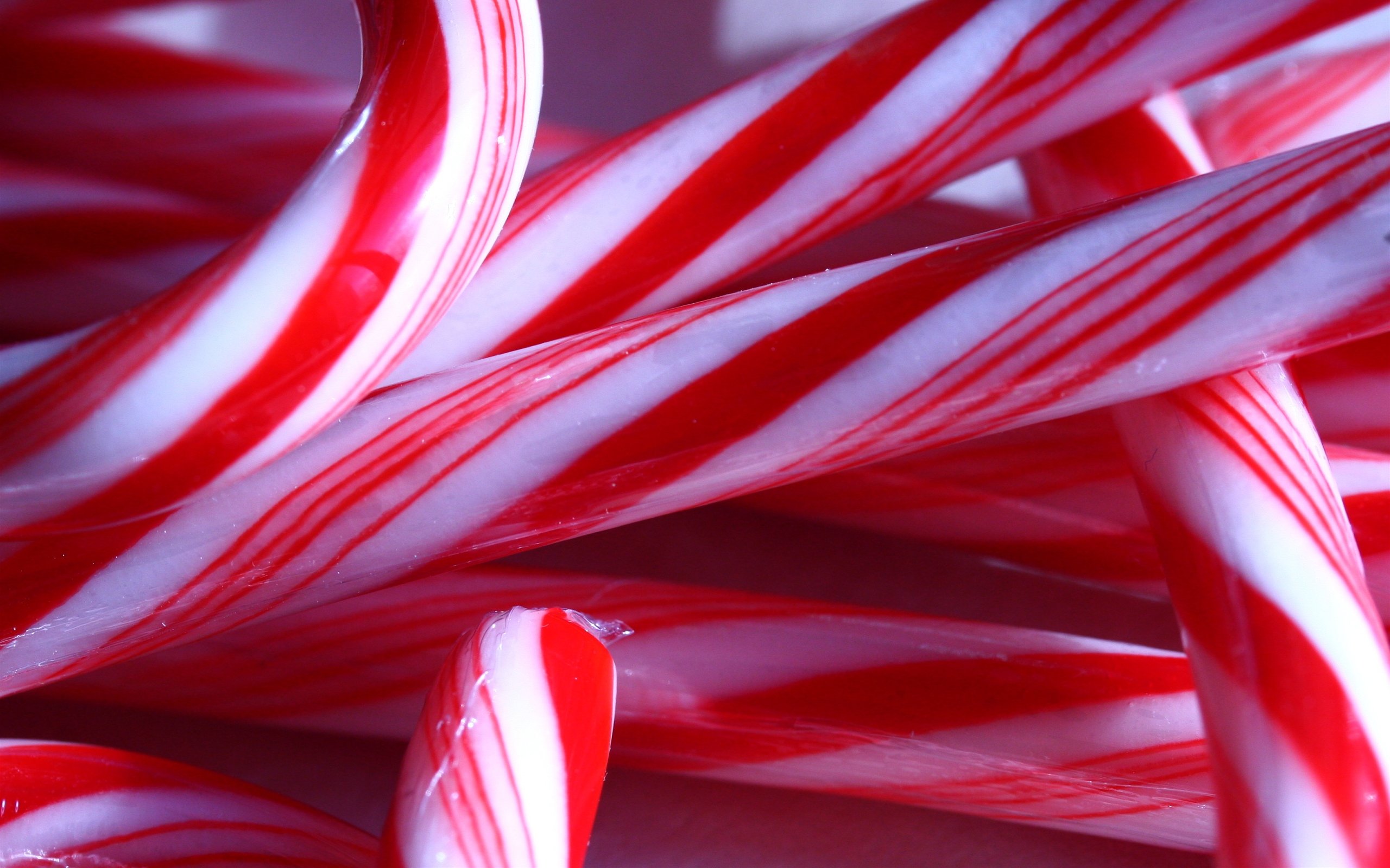 Candy canes candies wallpaper 2560x1600 258658