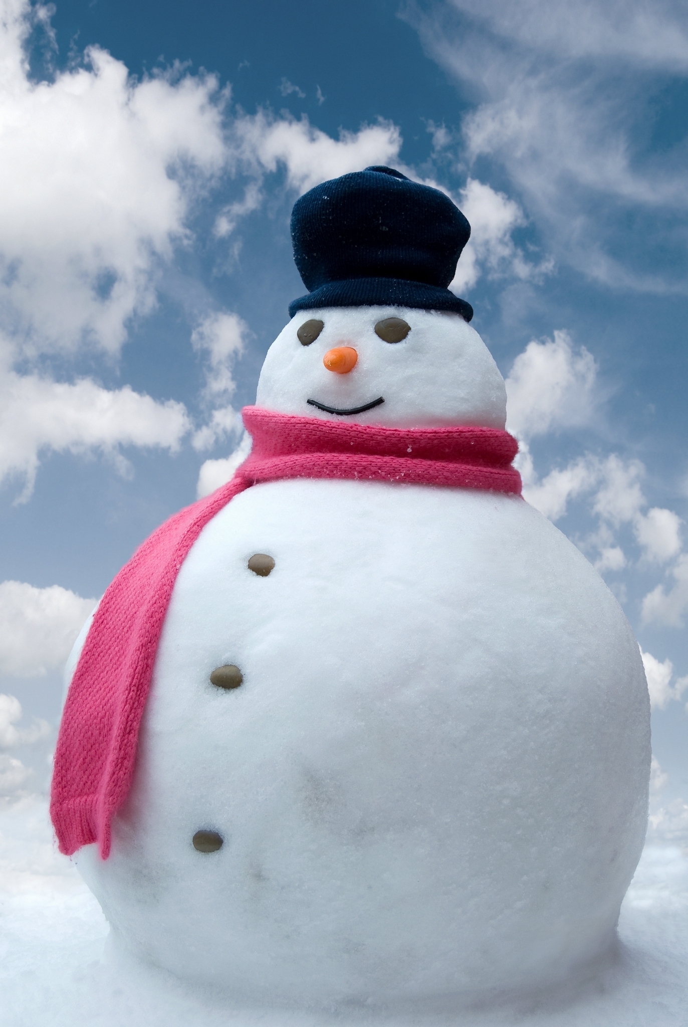 Snowman Christmas Photo