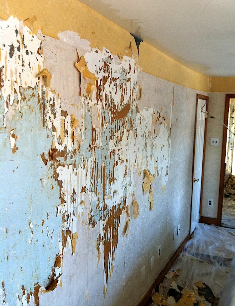 How To Get Wallpaper Off Sheetrock at Maurice Young Blog