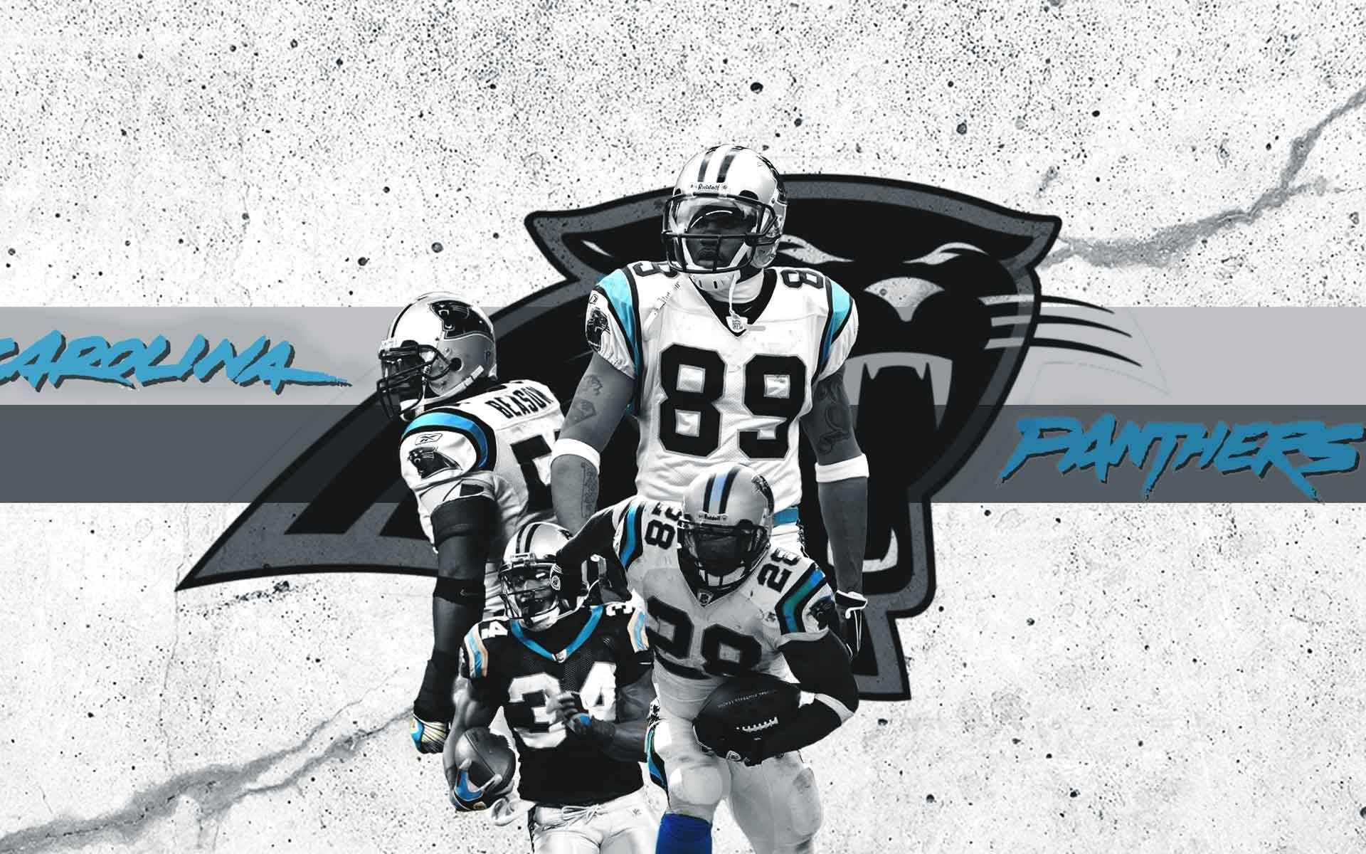Carolina Panthers Wallpaper HD Background Image
