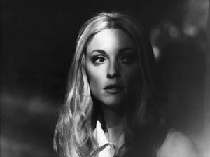 Sharon Tate HD Wallpaper