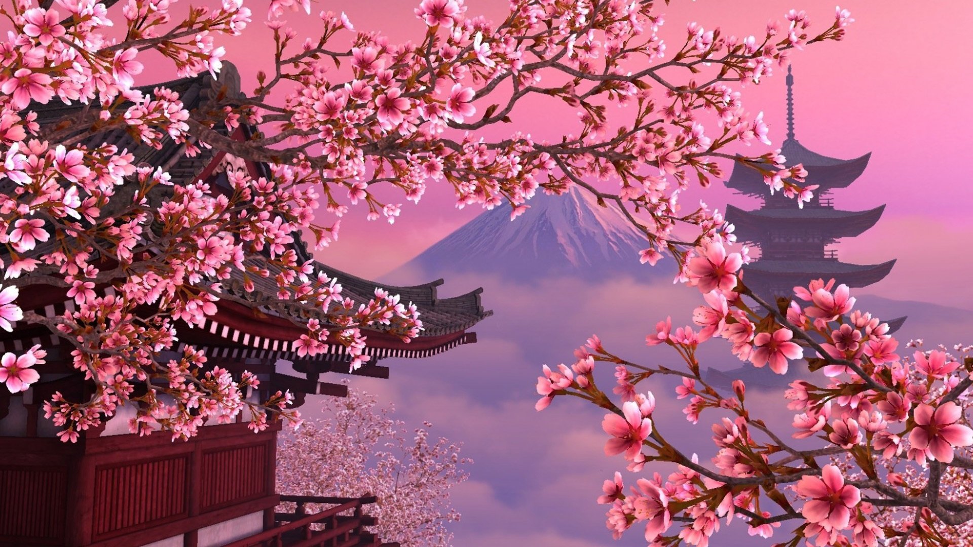 Beautiful Pink Cherry Tree Mount Fuji Wallpaper