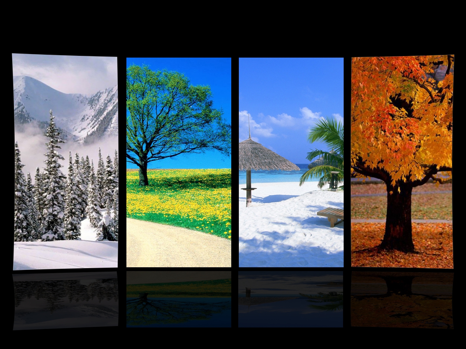  Four Seasons 84 