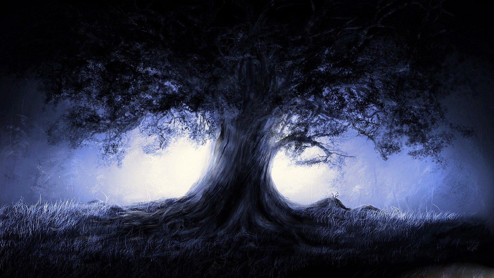 Dark forest tree moon light wallpaper 1920x1080 504830
