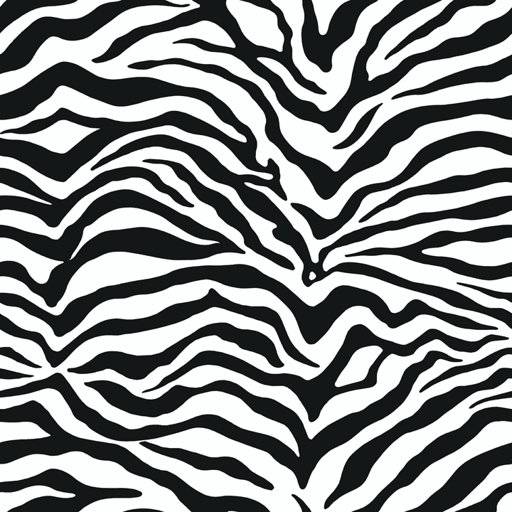 Zebra Wallpaper Steve S Blinds