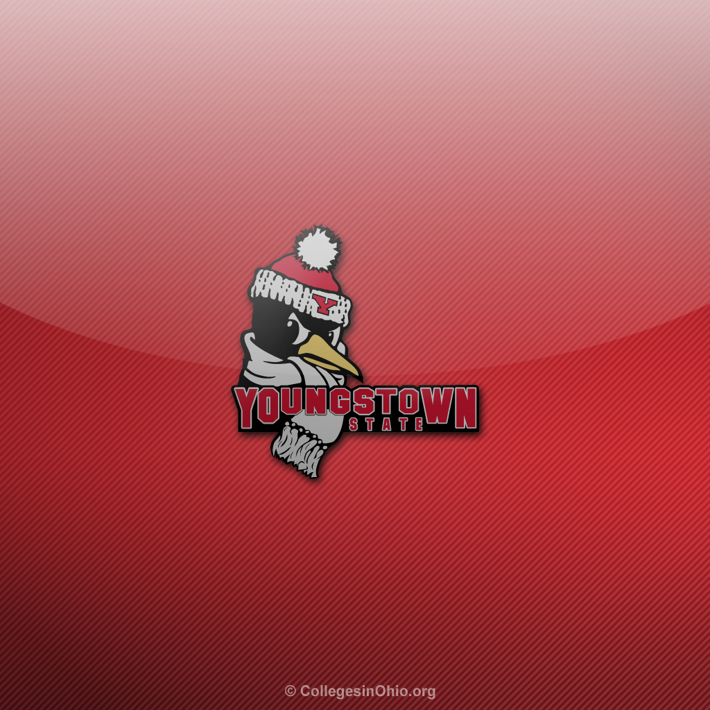 iPad Wallpaper Youngstown State Ysu Penguins