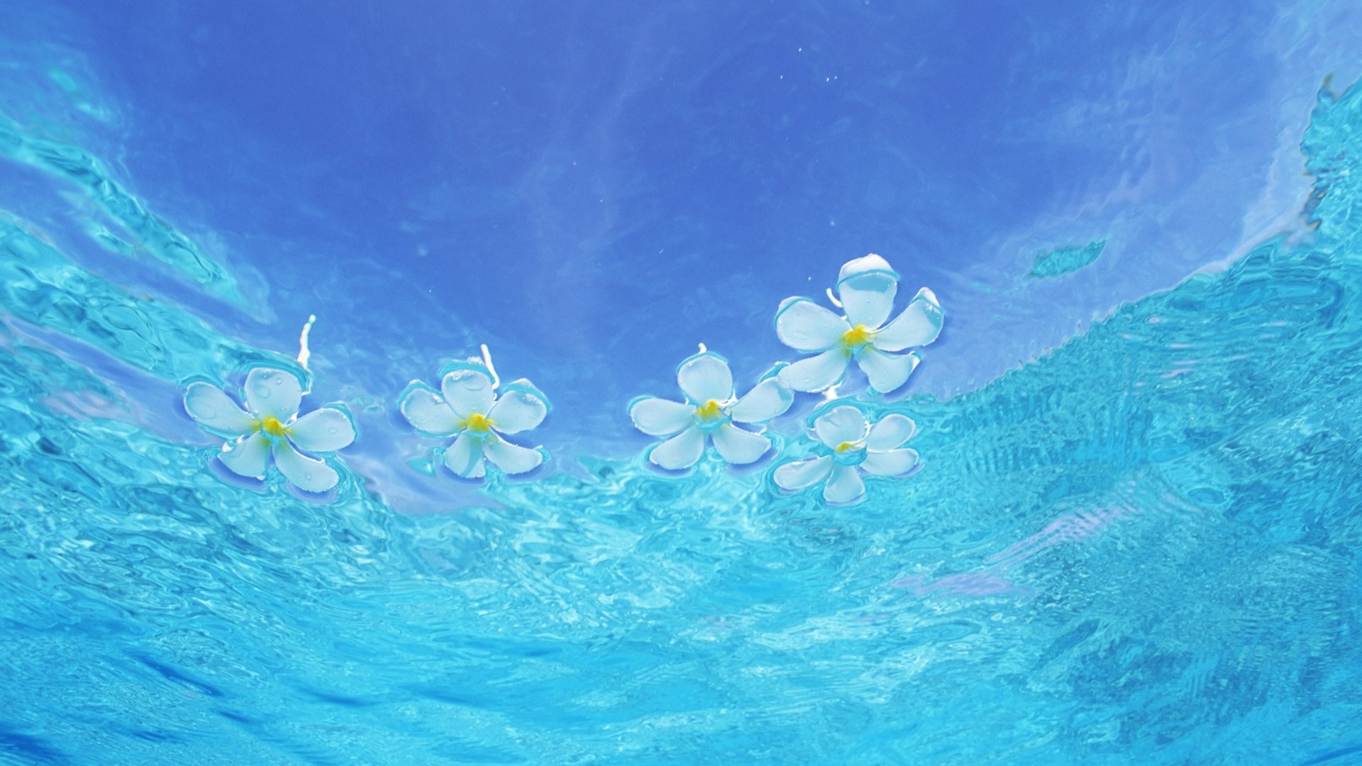 Water Computer Wallpapers Desktop Backgrounds 1920x1080