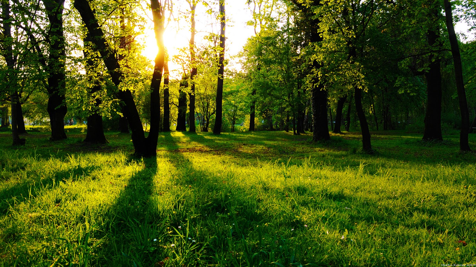 Beautiful Cool HD Wallpaper
