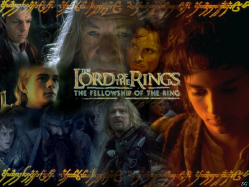 Lord Of The Rings Fellowship Wallpaper Brenda Lauritzen