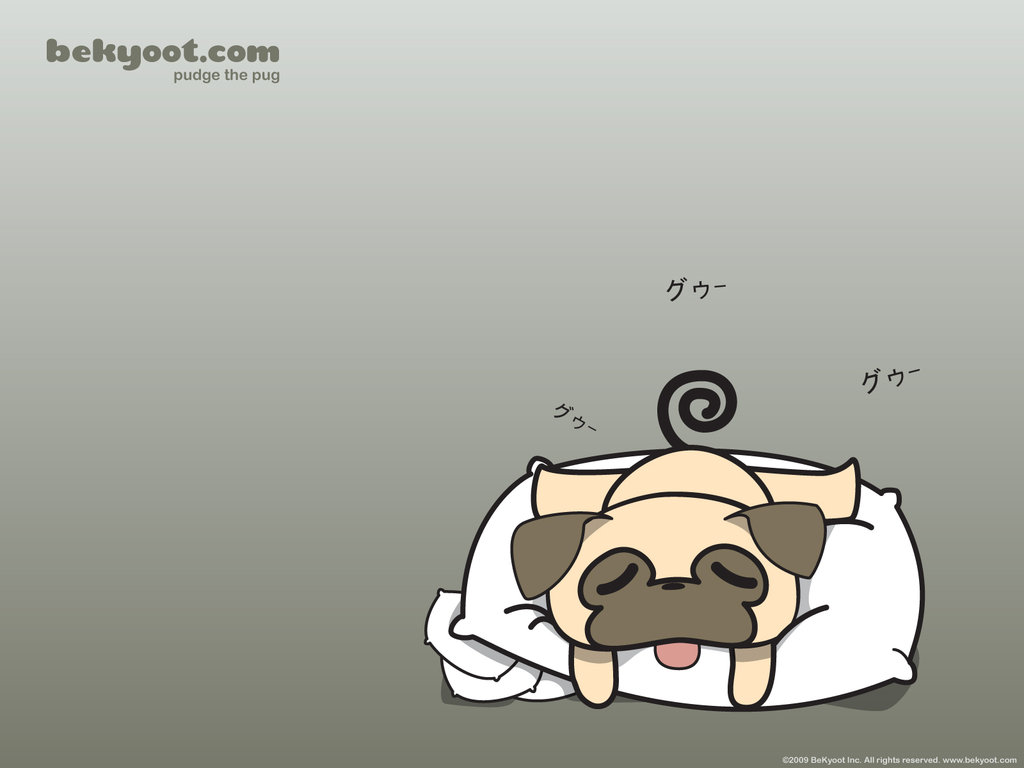 A Sleepy Pug Wallpaper By Lafhaha