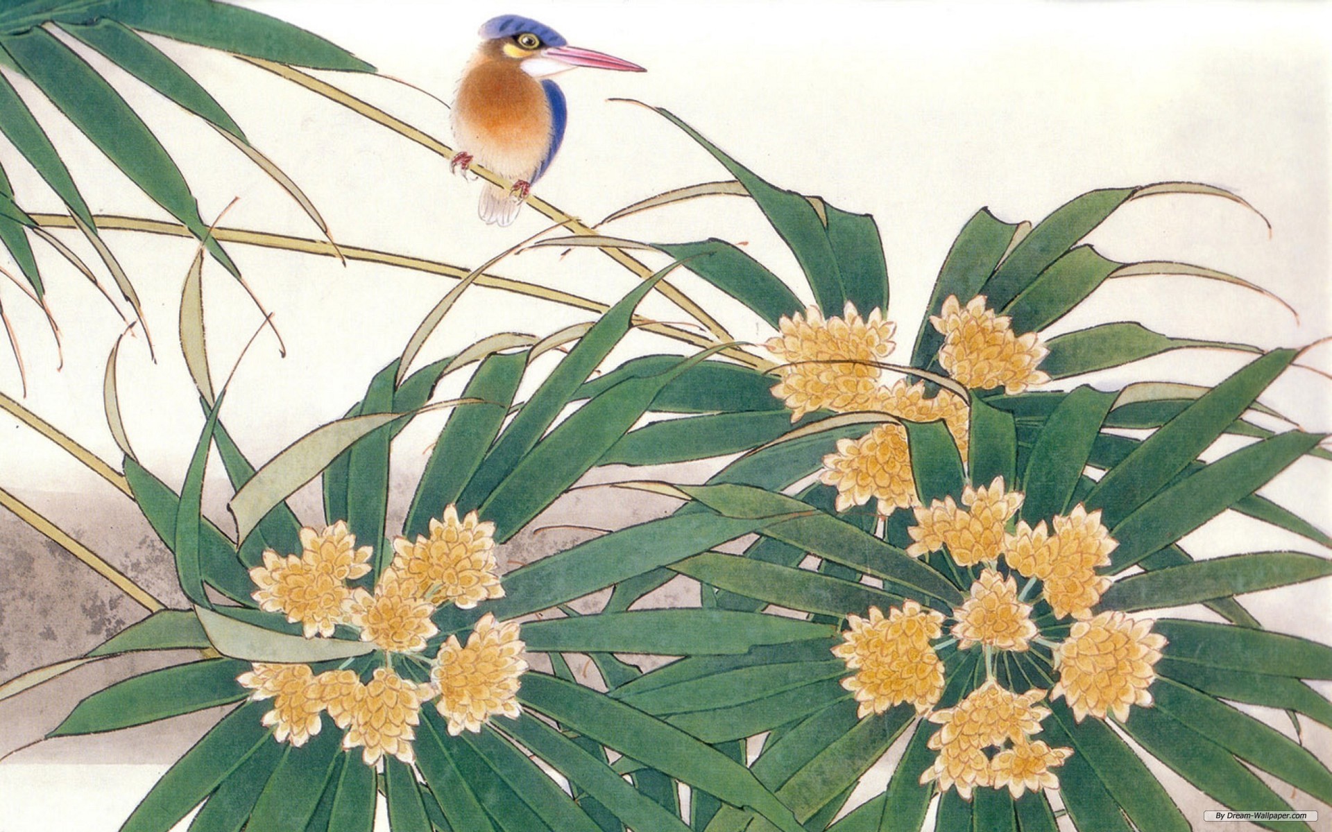 Bird Wallpaper Image