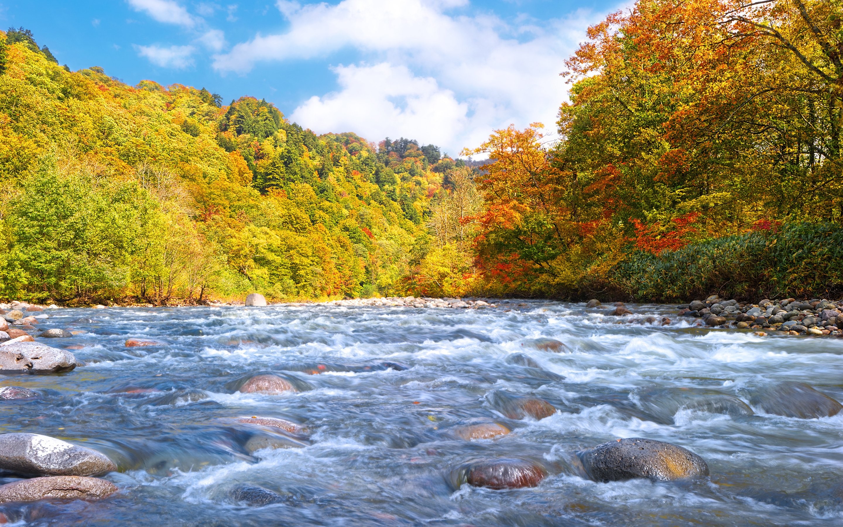 Early Fall Desktop Wallpaper