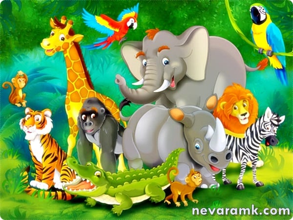 Jungle Wallpaper For Kids Jungle Kids Wall 600x450