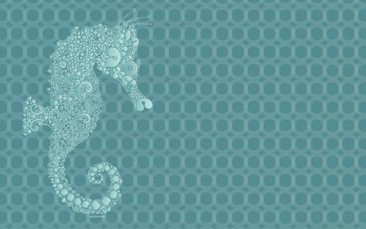 Seahorse Wallpaper Desktop Organizers And Pintere