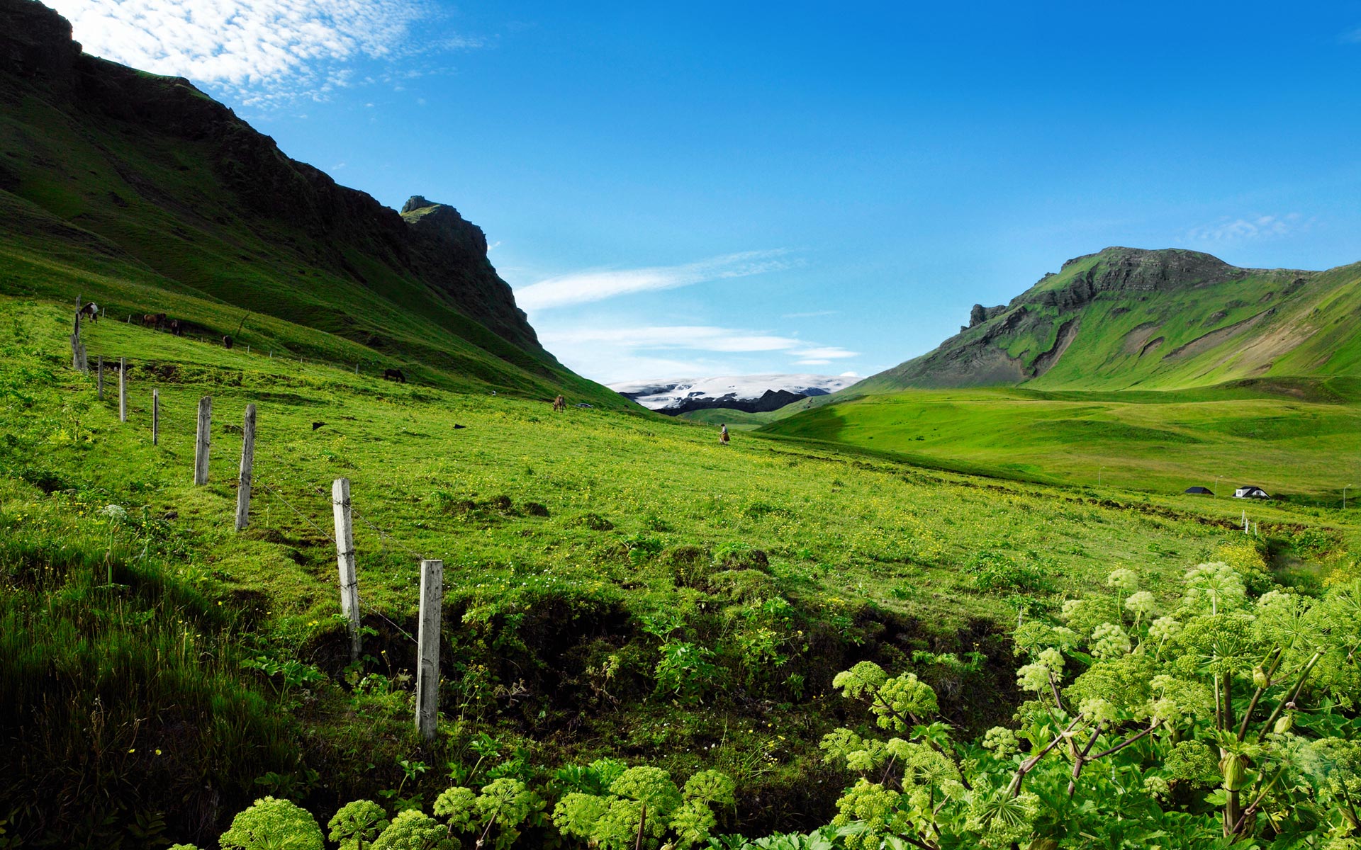 Teusje Files Wordpress Inspired By Iceland Background Jpg