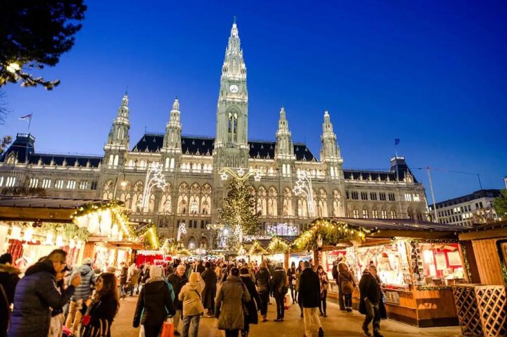 Full Day Private Vienna Christmas Market Tour From Budapest