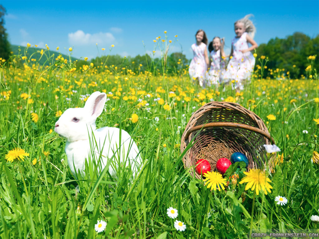 Easter Screensavers Pictures Wallpaper Background