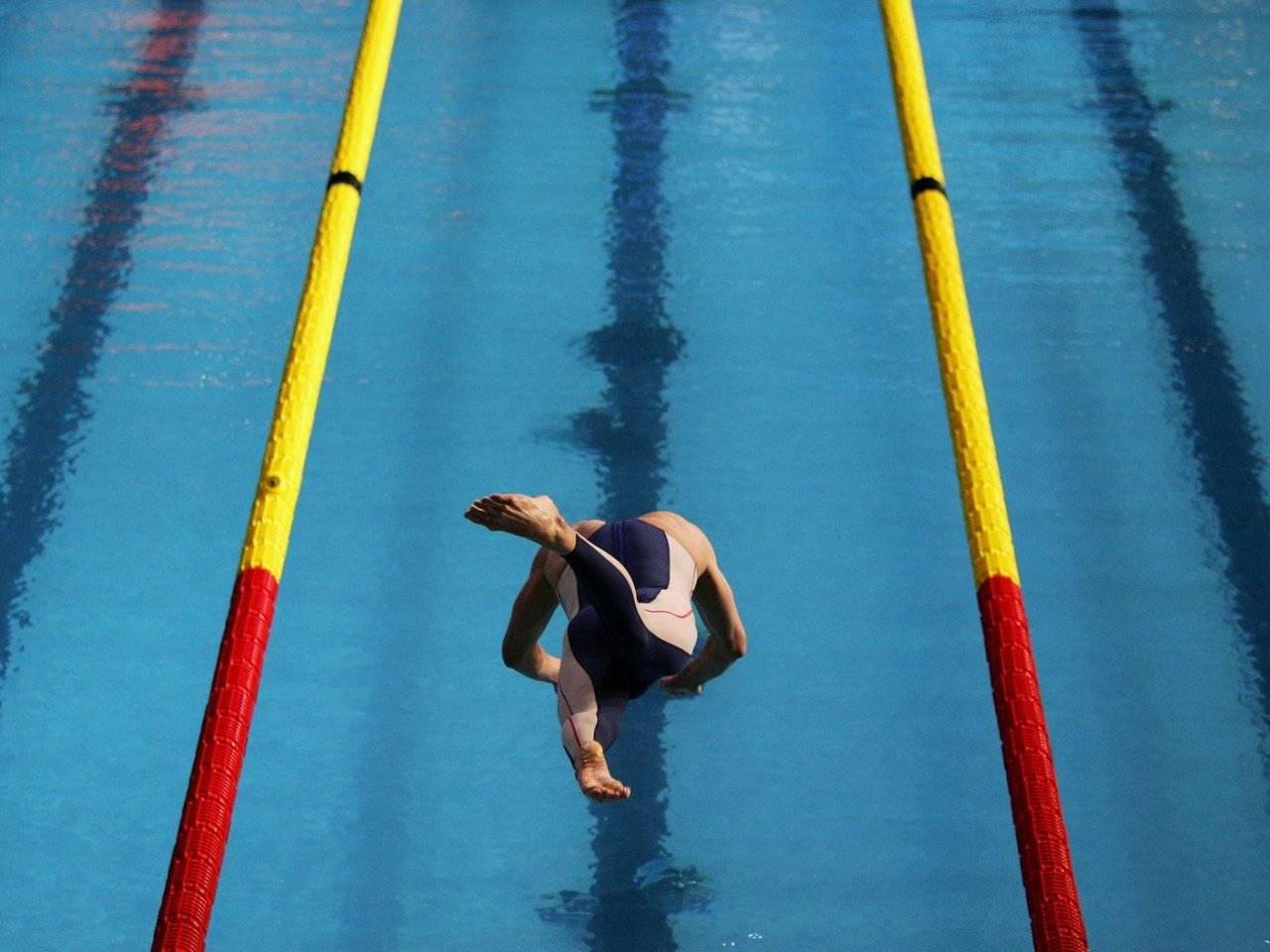 Swimming Cool Wallpaper