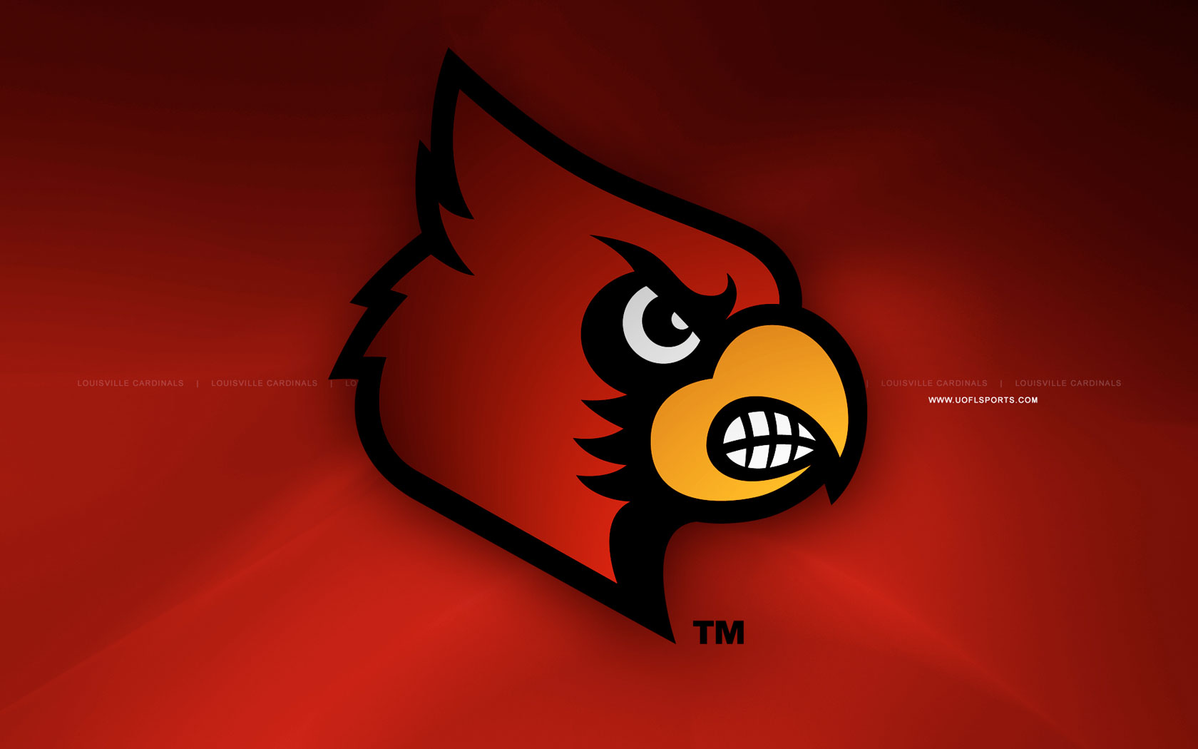 Louisville Cardinals Mascot Wallpaper 1680x1050