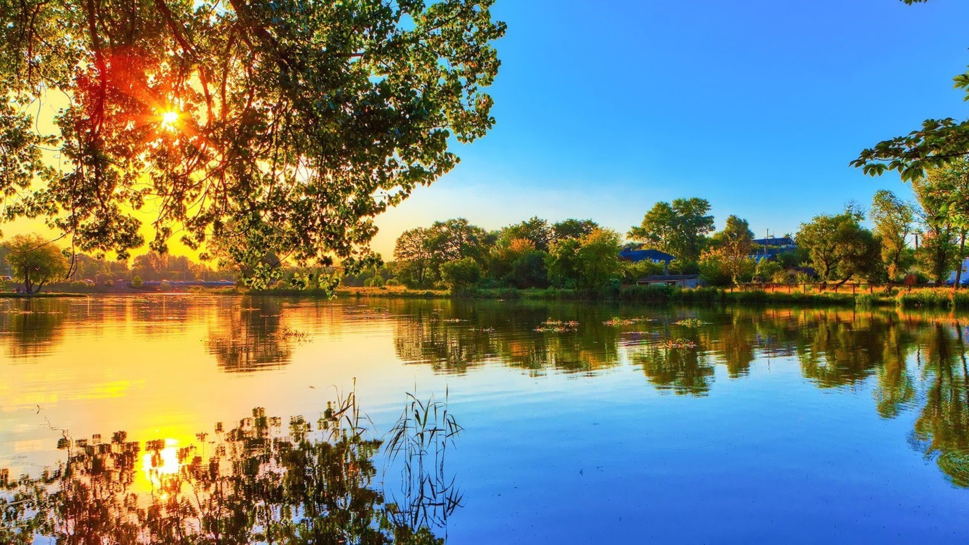 HD Nature Wallpaper 1080p
