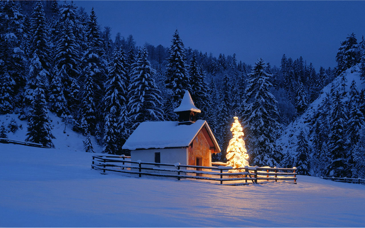 Meet In Winter Wallpaper Landscape