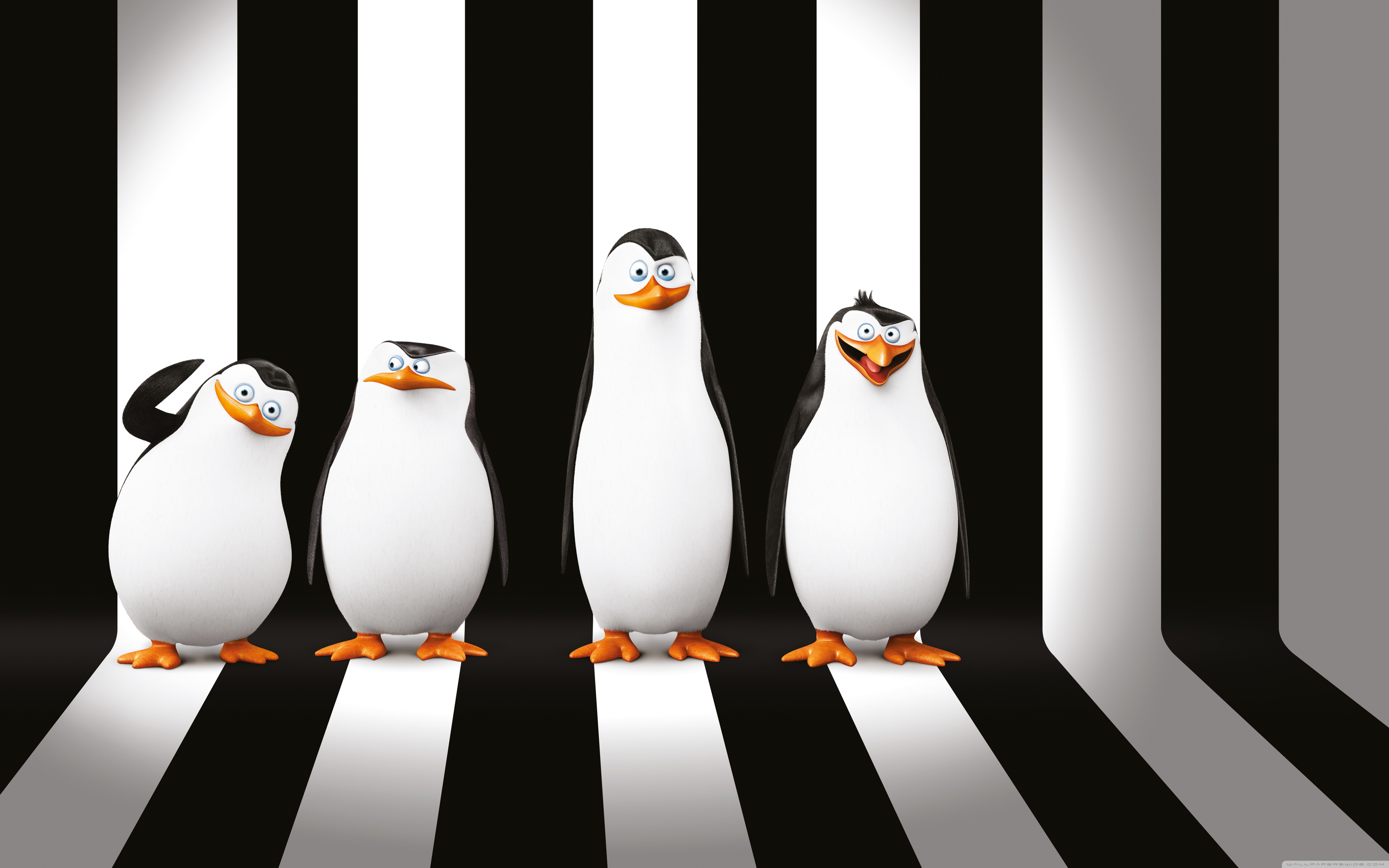 Penguins Of Madagascar Movie 4k HD Desktop Wallpaper For