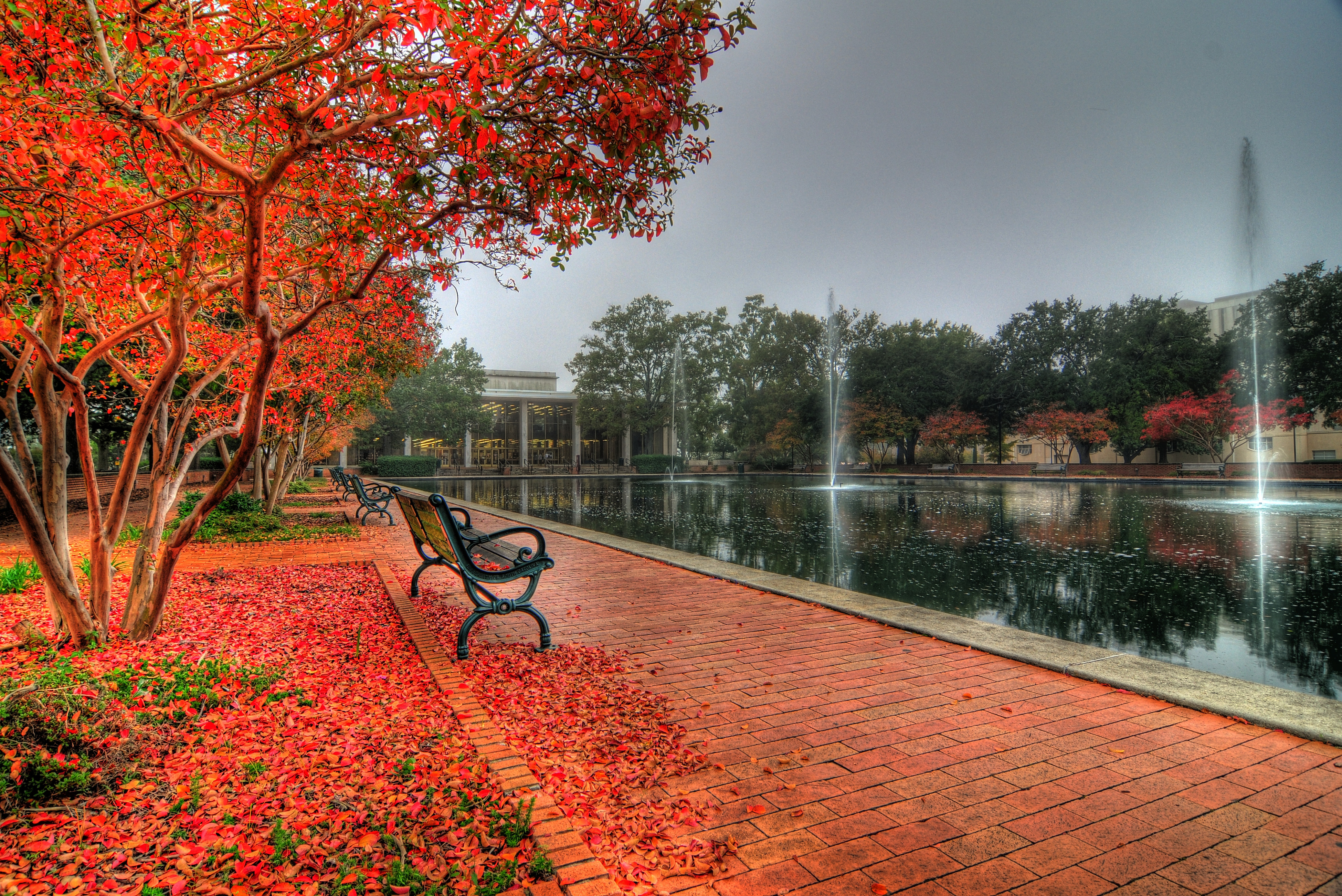 University Of South Carolina Campus Autumn HDr Photos Ken Bloch