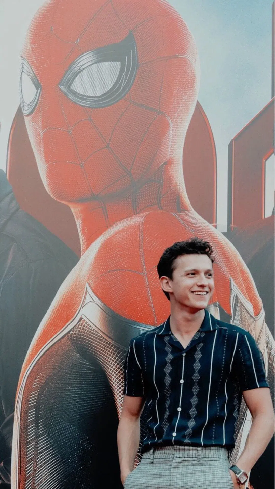Tom Holland Wallpaper