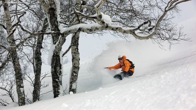 Wallpaper Wednesday Powder Surfing In Japan Transworld Snowboarding