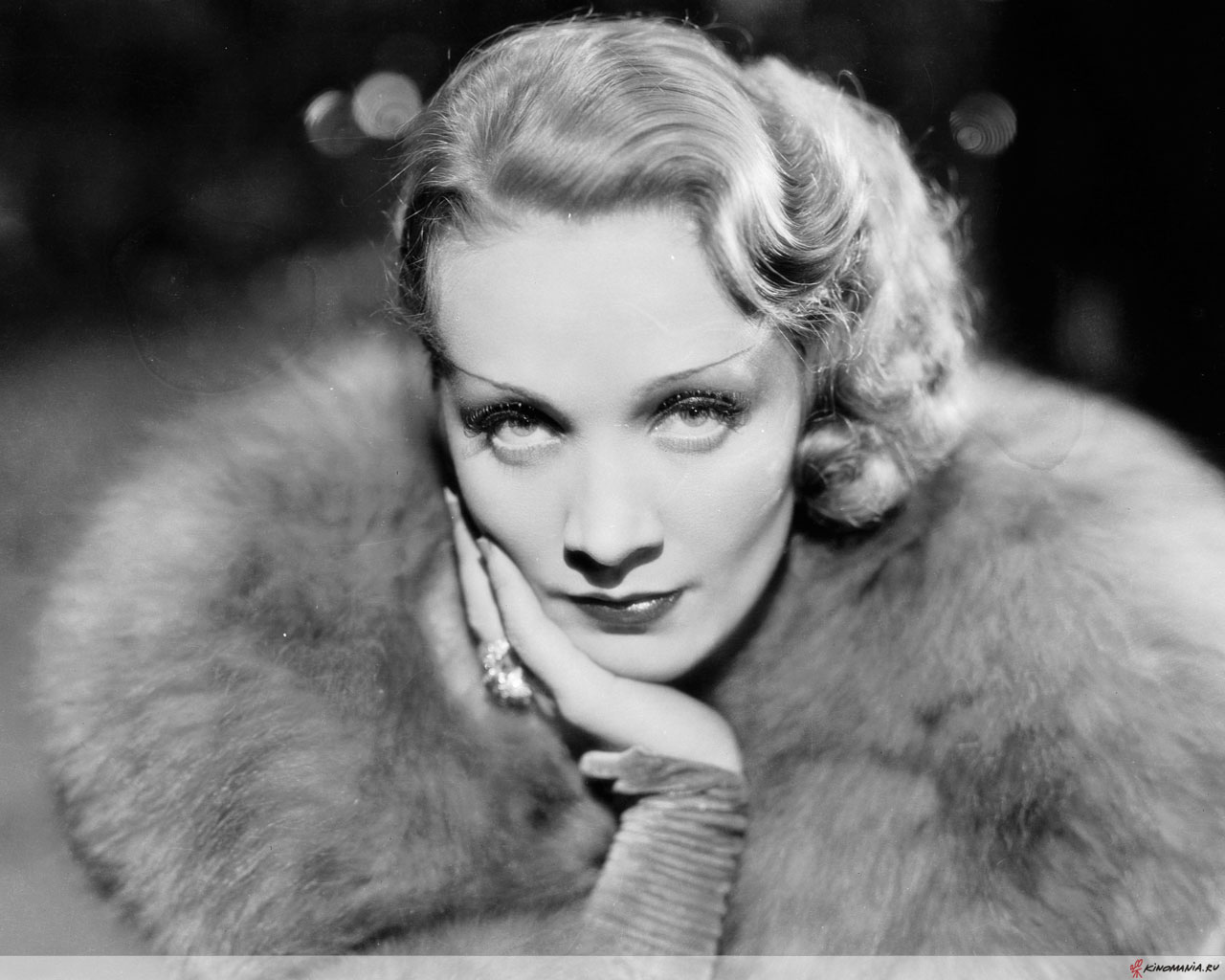 Marlene Dietrich Wallpaper X Net