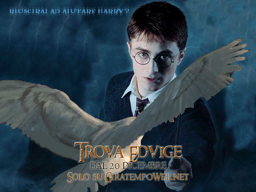 Free Download Free Harry Potter Wallpapers Download Harry Potter Photos 