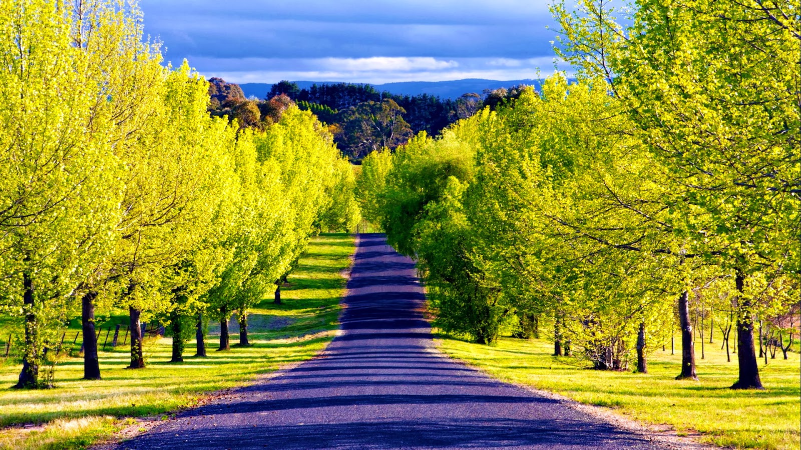 Pathway Wallpaper Most Beautiful Places In The World