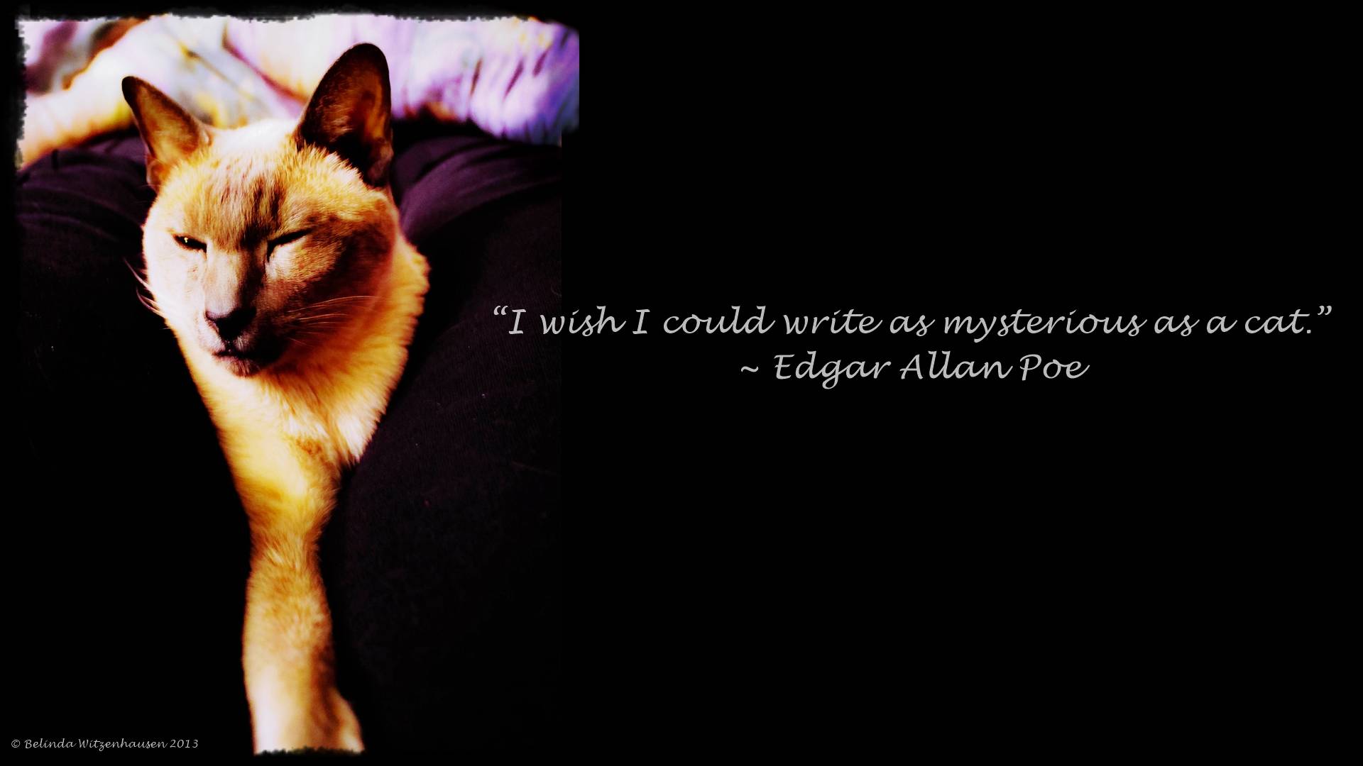 Edgar Allan Poe Quotes A Picture With An Quote