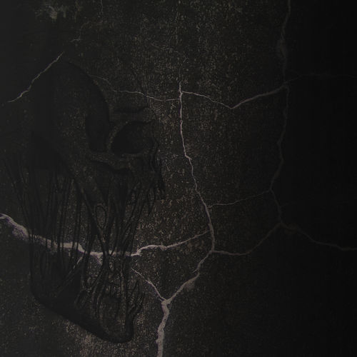 Skull On Black Stone Wallpaper