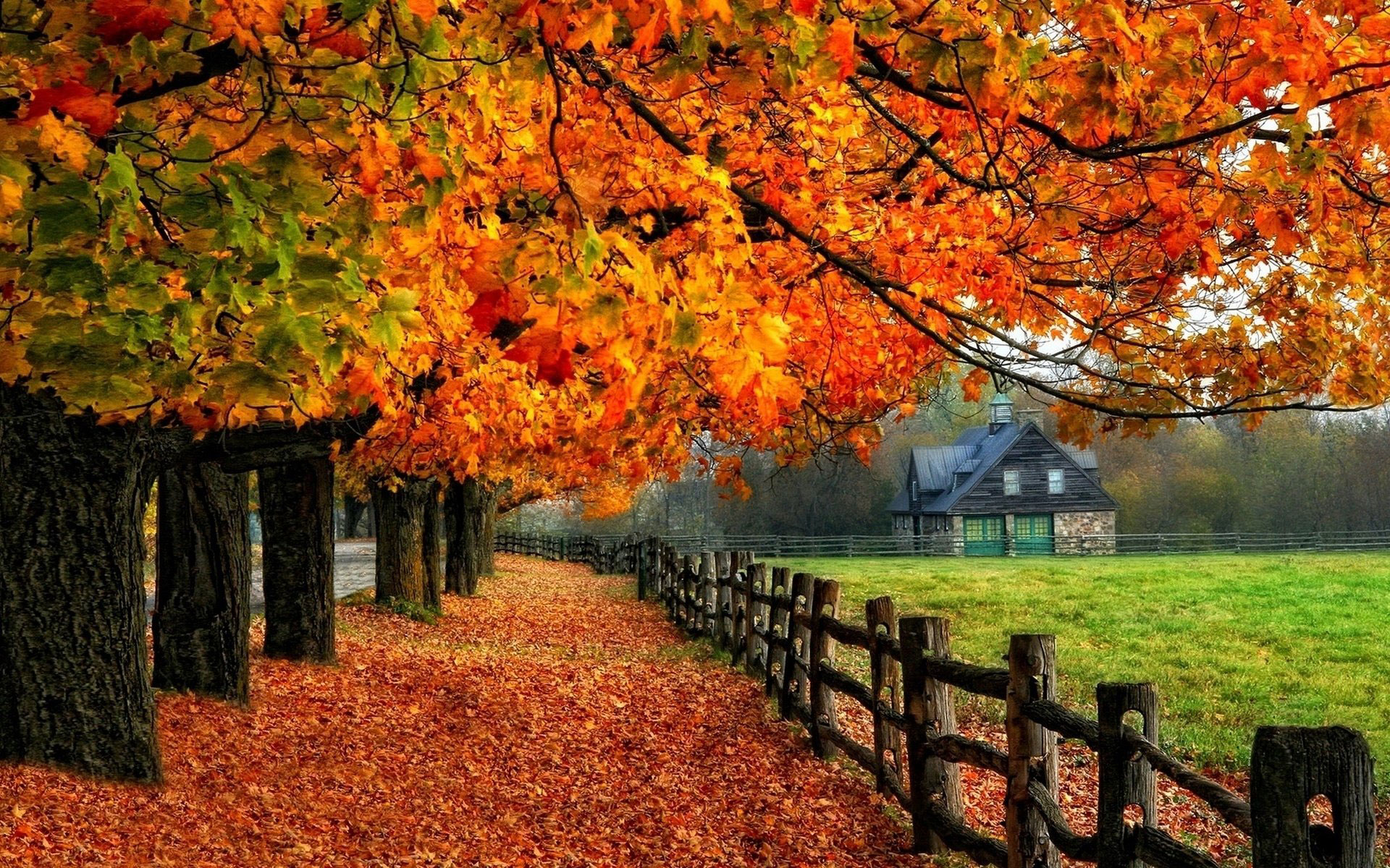 Autumn Wallpaper Examples For Your Desktop