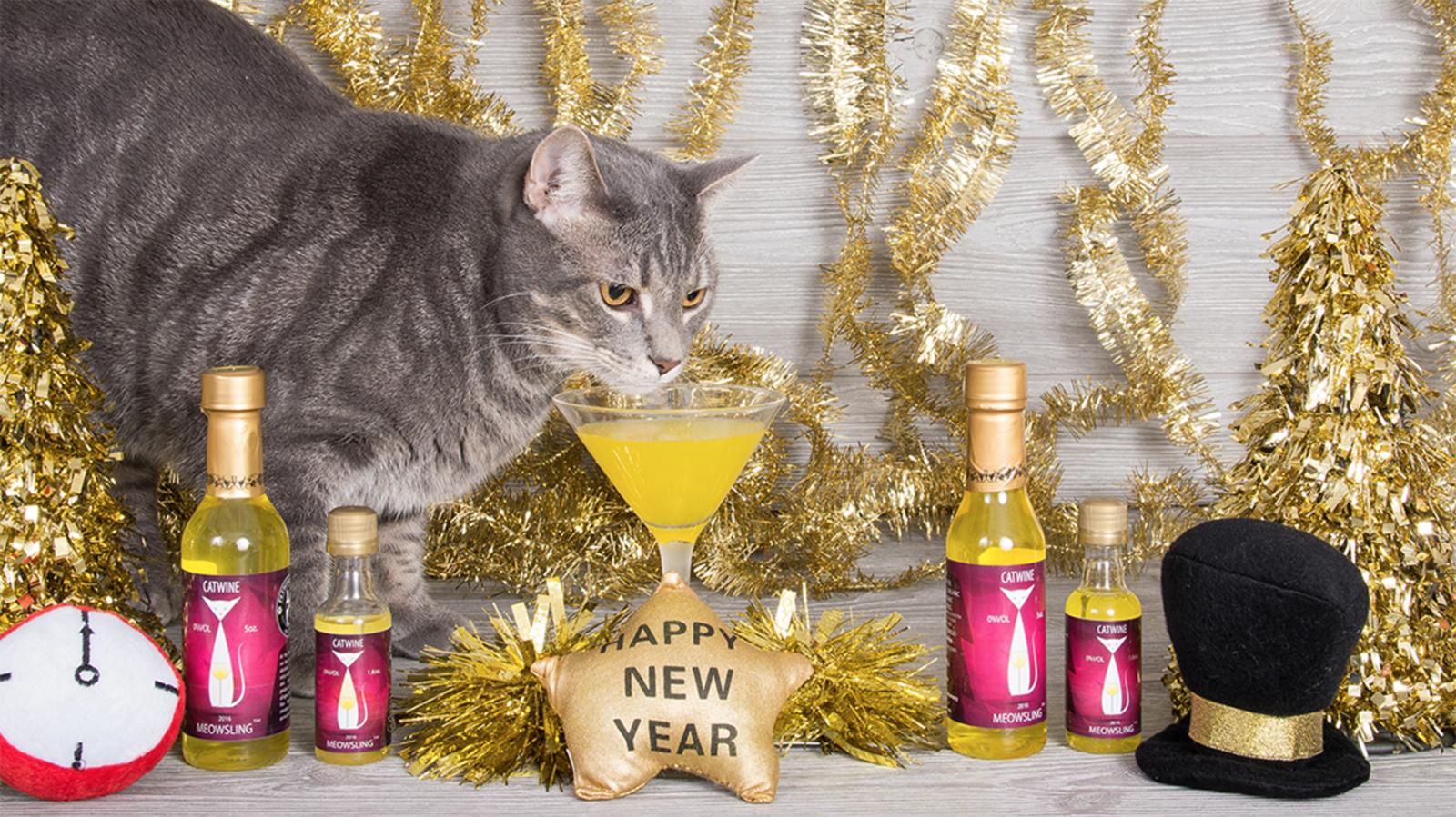 Even Your Pet Can Ring In The New Year With Winery S Wine