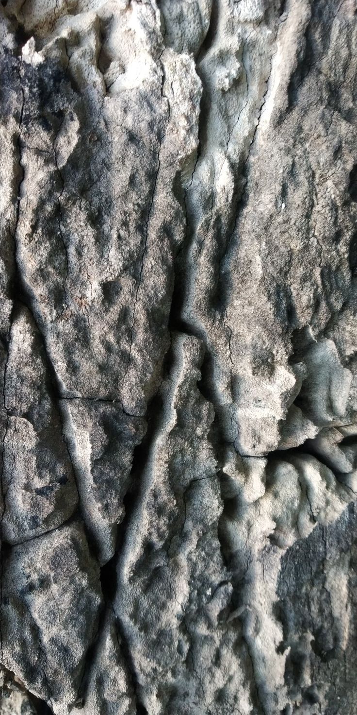 Achopa On Local Wallpaper