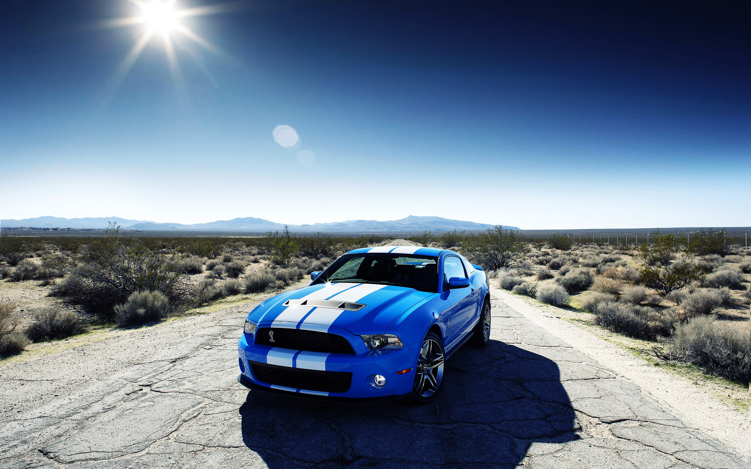 Ford Shelby Gt500 Car Wallpaper HD