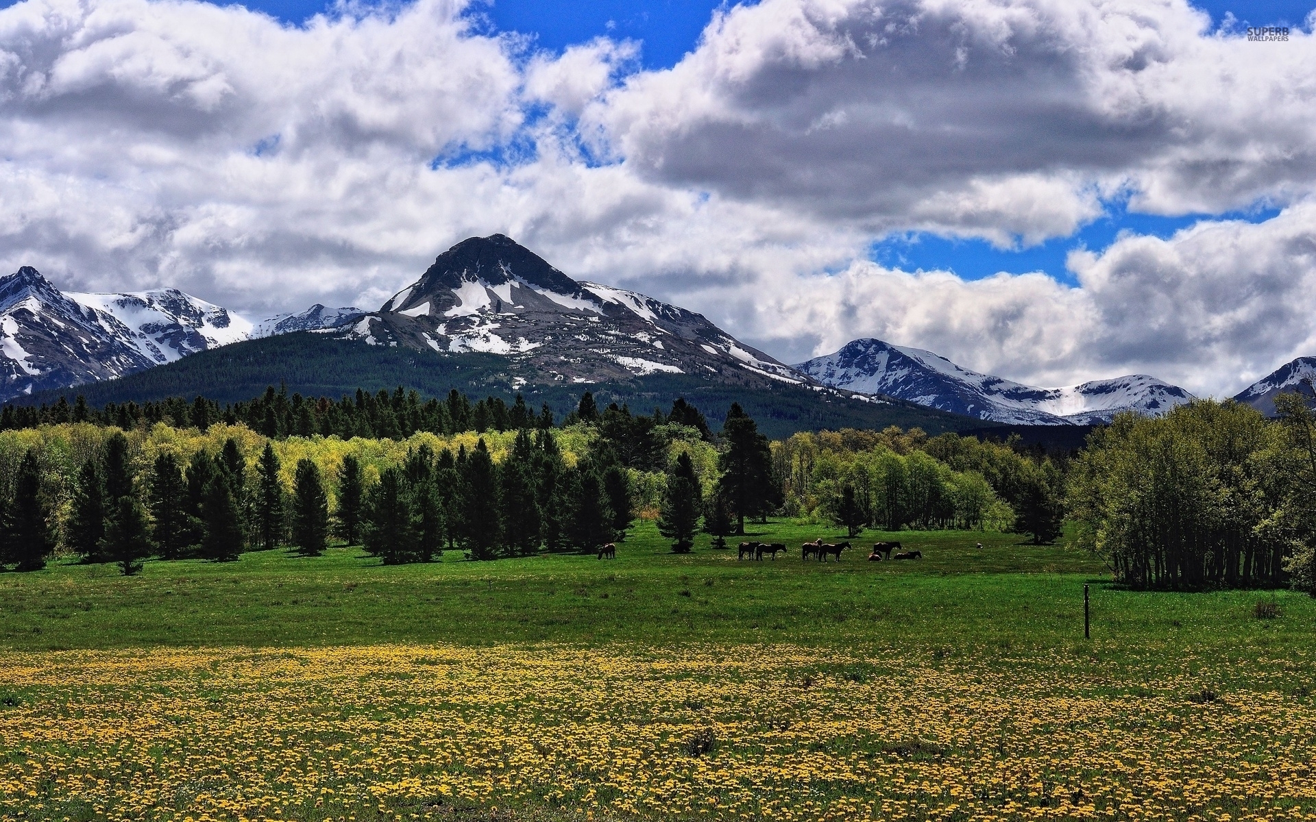 Montana Glacier National Park Hintergrundbilder