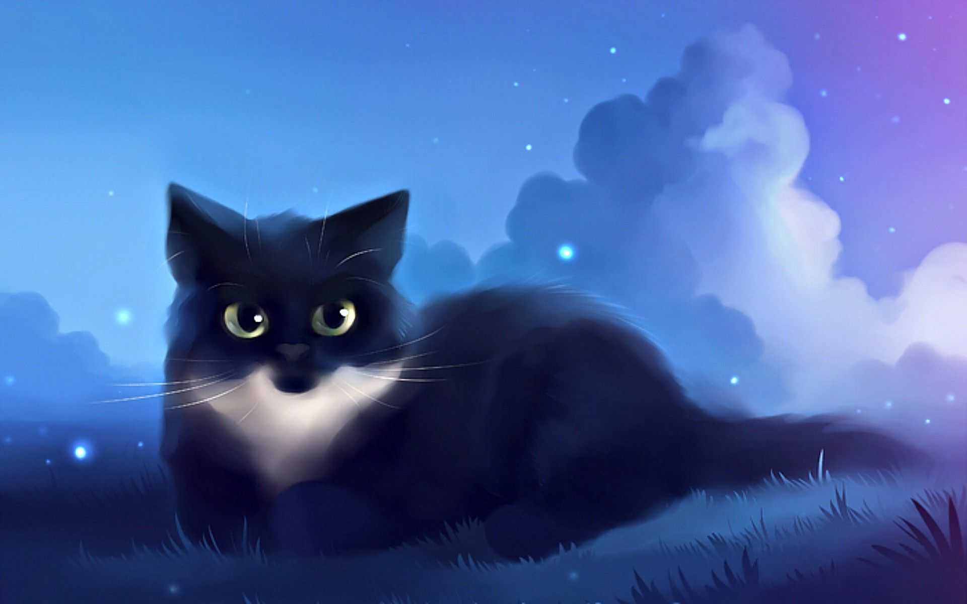 Cat Computer Wallpaper