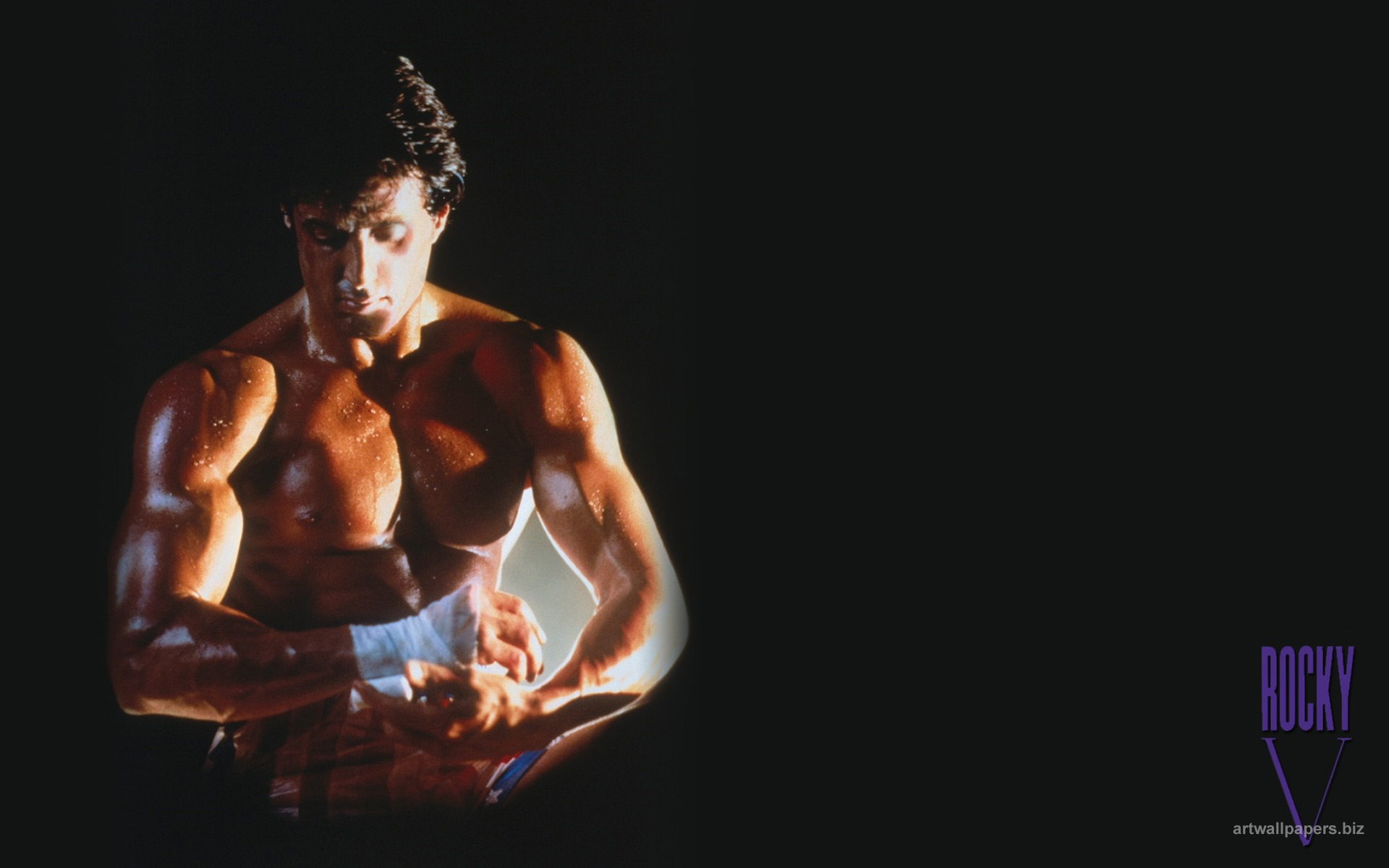 Free download Rocky Wallpapers HD [1920x1200] for your Desktop, Mobile &  Tablet | Explore 78+ Rocky Wallpaper | Rocky Balboa Wallpaper, Rocky  Mountain Wallpaper, Rocky Wallpapers HD